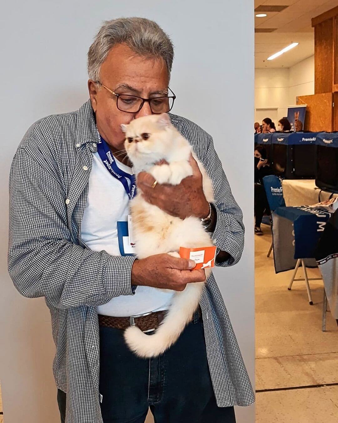 gato gatil difurini gatil gato persa filhote gato persa cat gato persa exótico gatil criação filhote de gato cat kitten kitty criação criador cbg