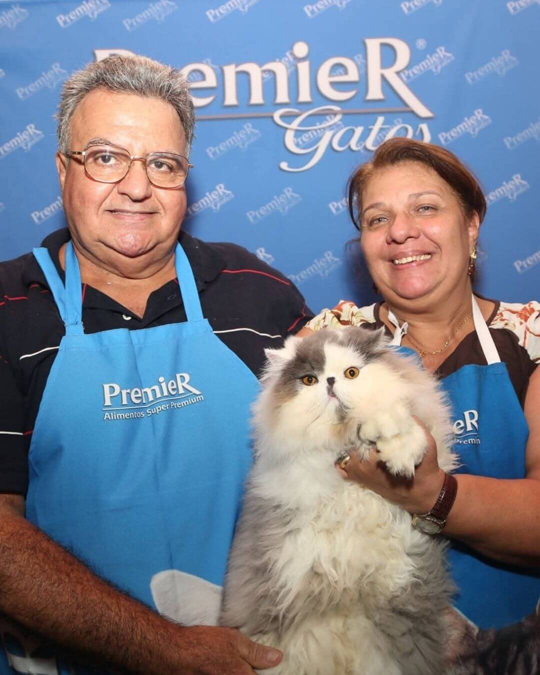 gato gatil difurini gatil gato persa filhote gato persa cat gato persa exótico gatil criação filhote de gato cat kitten kitty criação criador cbg